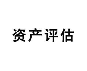 資產(chǎn)評(píng)估